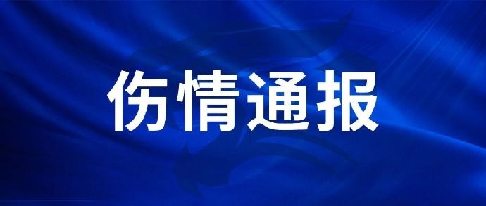 刘奕鸣右手第四掌骨骨折，手术已于9日完成